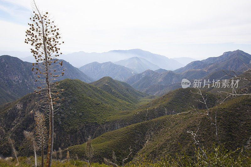 圣加布里埃尔山景