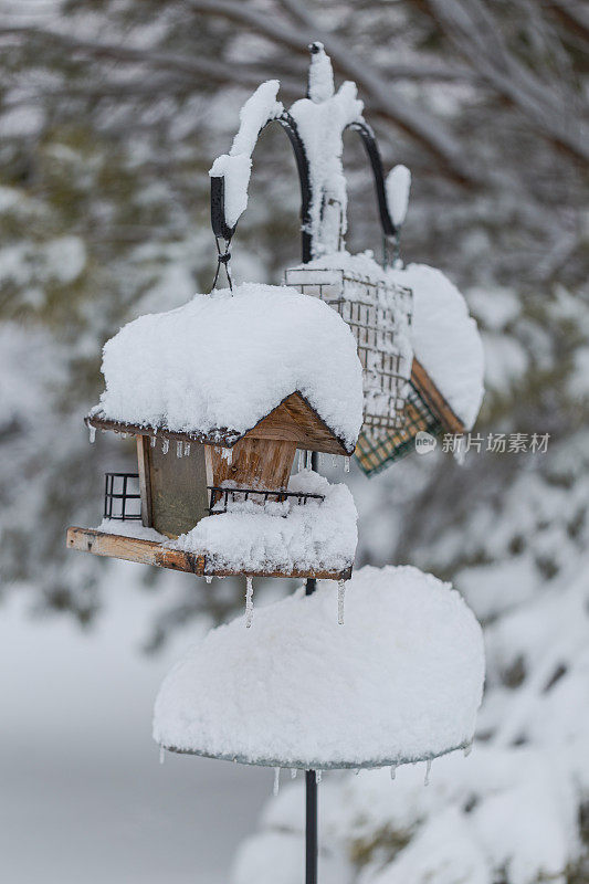 积雪覆盖的鸟类喂食器