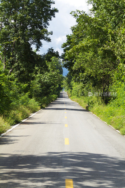 北碧府的树林间消失的道路