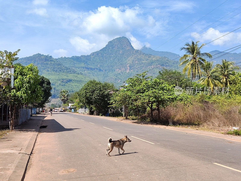 老挝占巴塞的公路