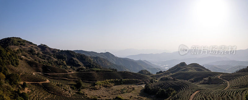 鸟瞰茶园