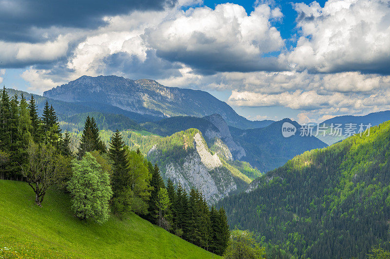 洛加尔山谷风景卡姆尼克萨维加阿尔卑斯山在斯洛文尼亚的一个美丽的春天
