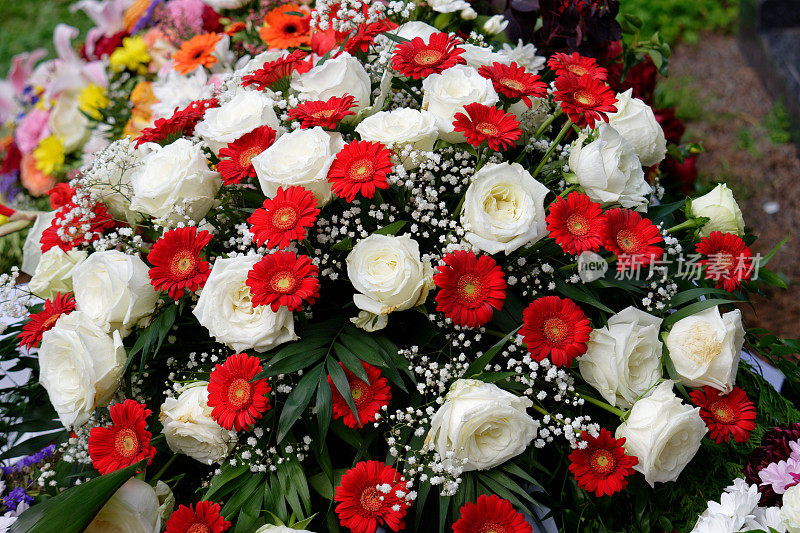 葬礼上的花是白色的吉普赛花，红色的非洲菊和白玫瑰