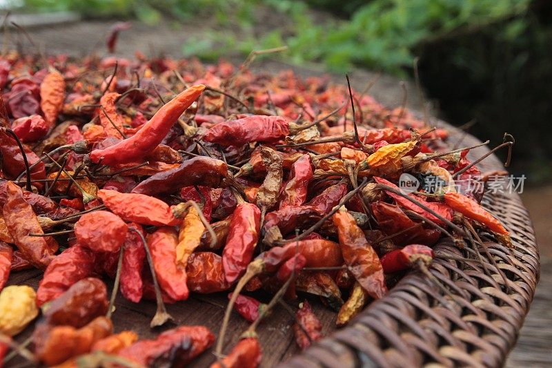 老挝旺荣农业食品辣椒