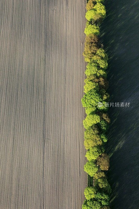 这是春天田野的航拍照片