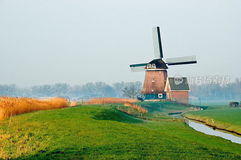 荷兰的风景