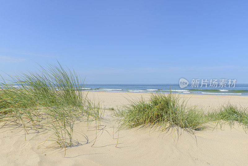 夏天在沙滩上有沙丘和海浪