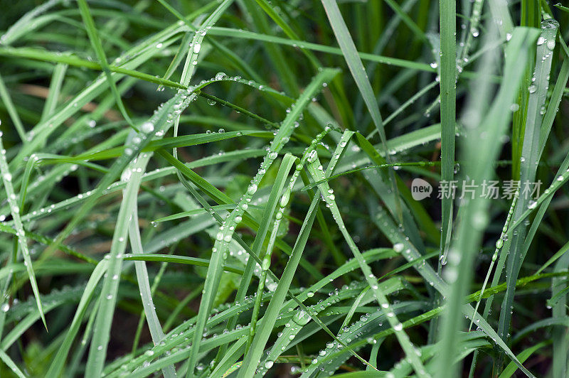 雨滴