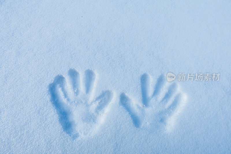 手印在雪