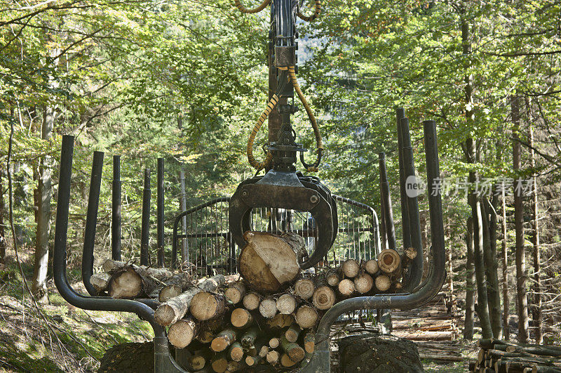 森林中木材装载起重机