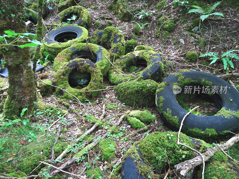 林地里丢弃的橡胶轮胎和苔藓，乱扔垃圾