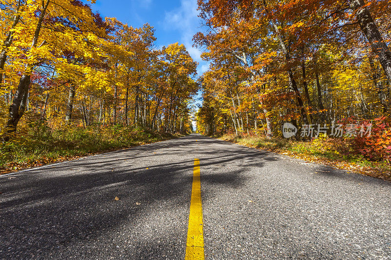 秋天的道路