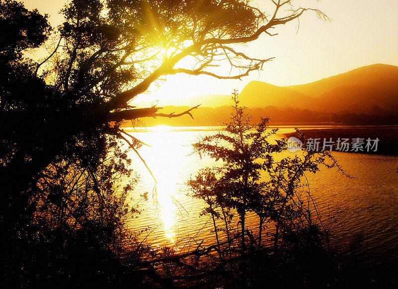 阳光下美丽的泻湖映出树木的剪影