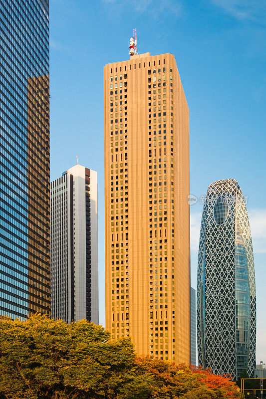 新宿东京摩天大楼秋天傍晚太阳日本