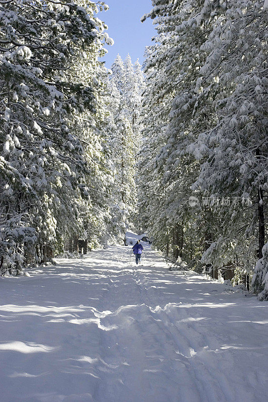 白雪皑皑的徒步旅行路线