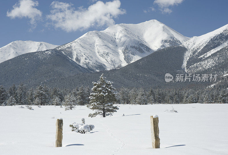 动物足迹通向普林斯顿山