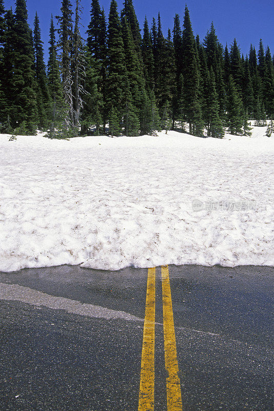 路雪下