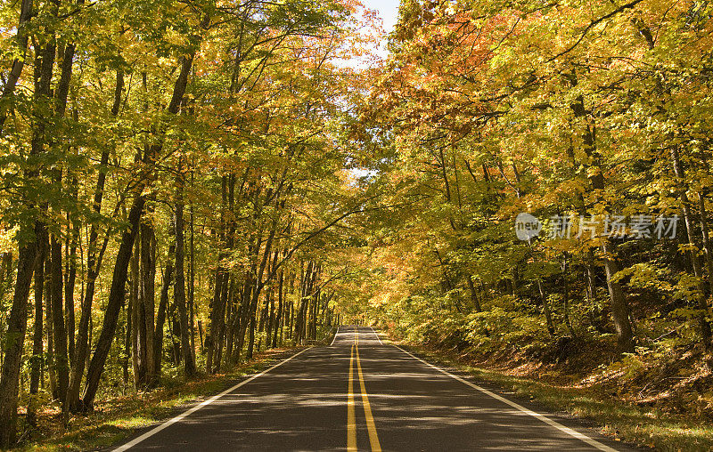 秋天密歇根开车穿过五彩缤纷的树叶