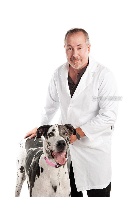 兽医和他的大丹犬