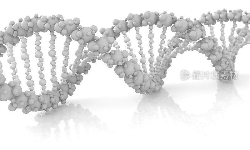 DNA分子结构