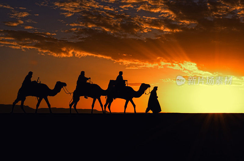 摩洛哥的骆驼商队