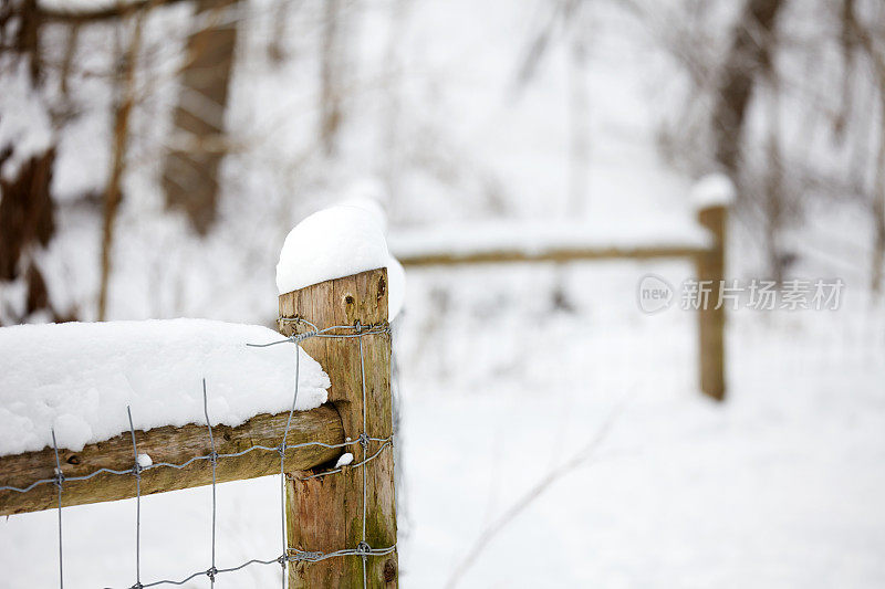 冬天的雪覆盖篱笆景观特写