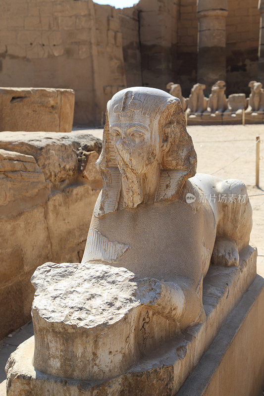 卡纳克神庙遗迹中的狮身人面像