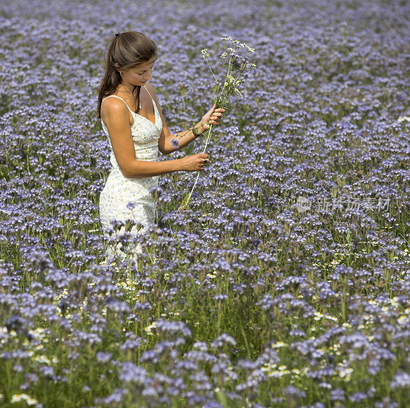 穿着白色背心裙的女人在蓝色的花丛中
