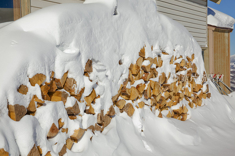 在美国科罗拉多州，大雪覆盖了一大堆柴火。
