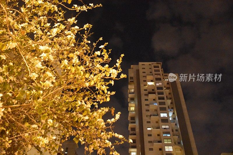 以色列夜间的居民楼