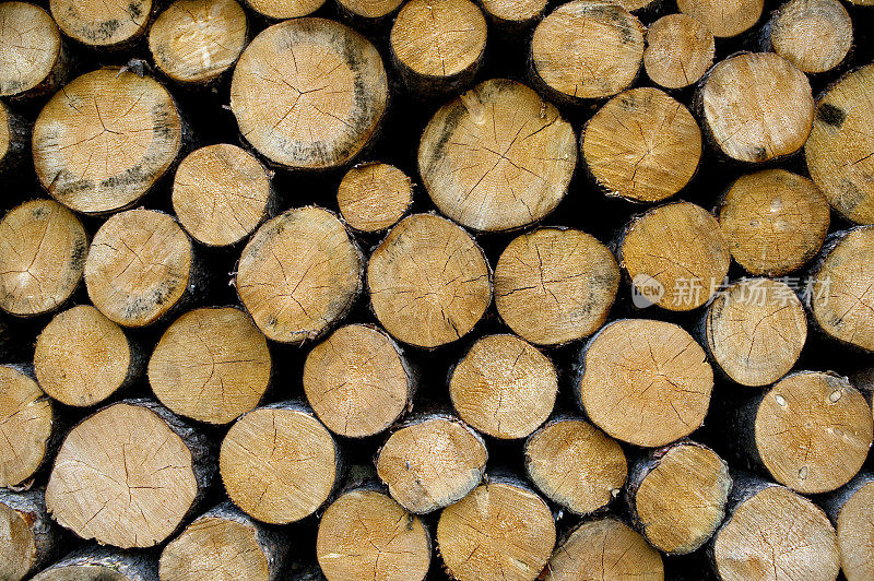 森林砍伐木材行业