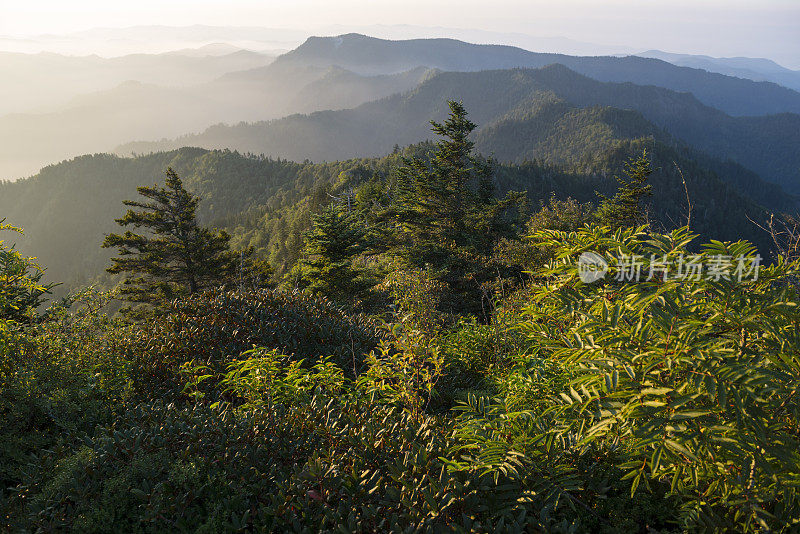 大烟山国家公园景观