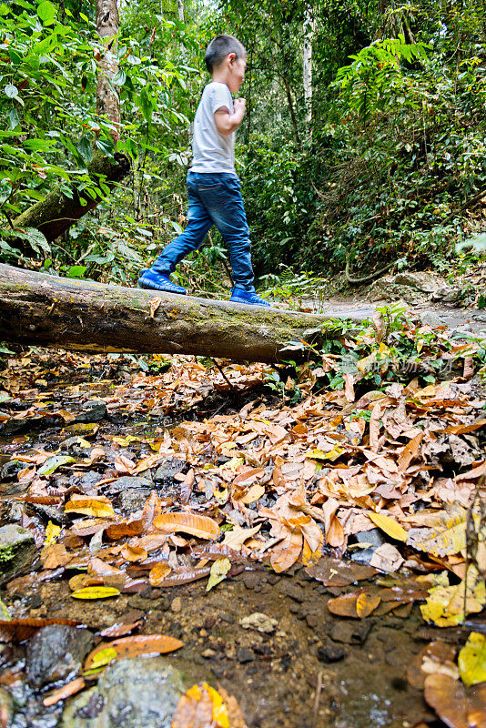 小男孩在森林里的树干上保持平衡