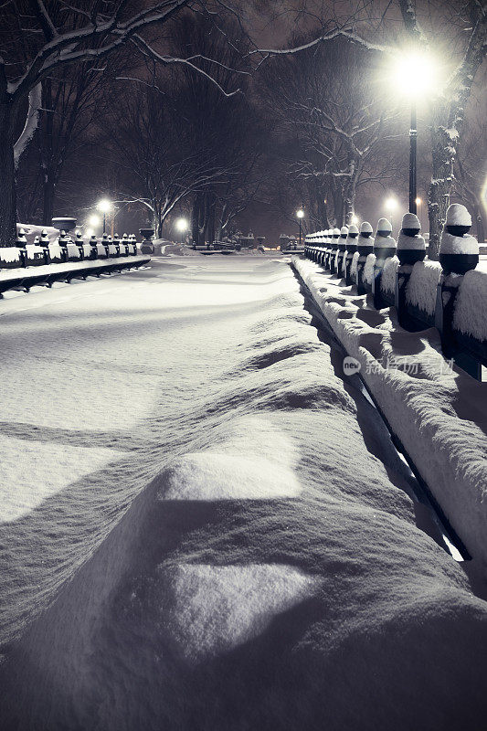 纽约冬天晚上的中央公园