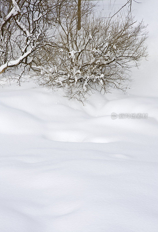 深的雪