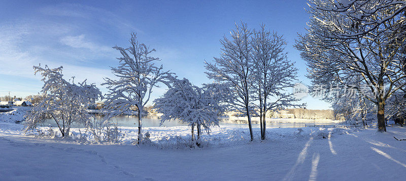 清晨雪景