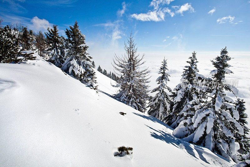 清新雪景冬季景观