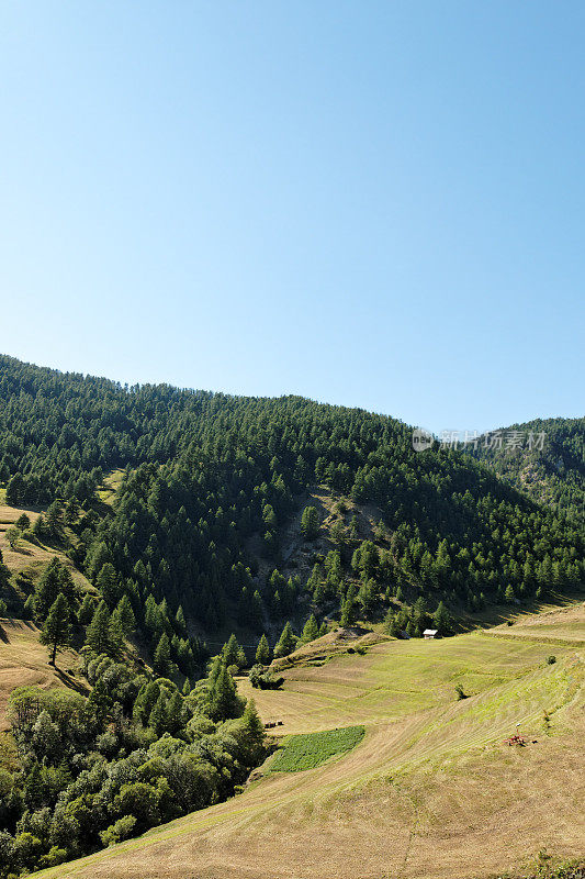 景观在阿尔卑斯山