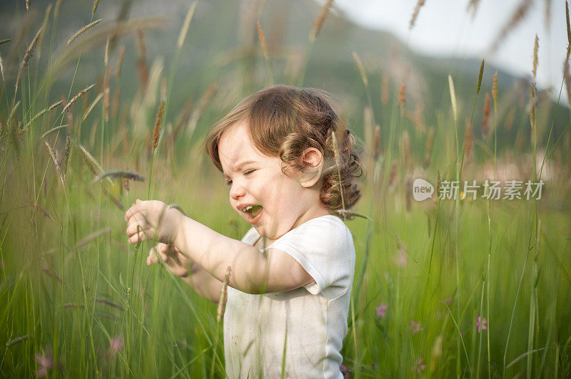 草地上的小男孩