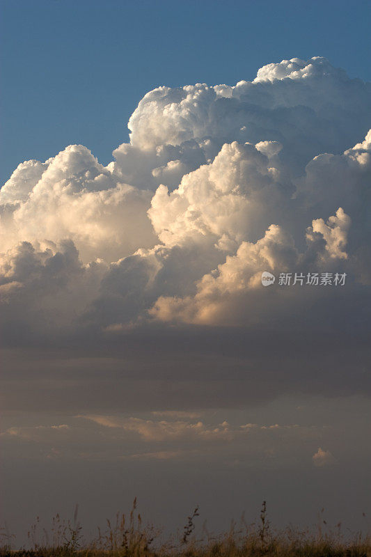 戏剧性的天空中白色蓬松的积雨云