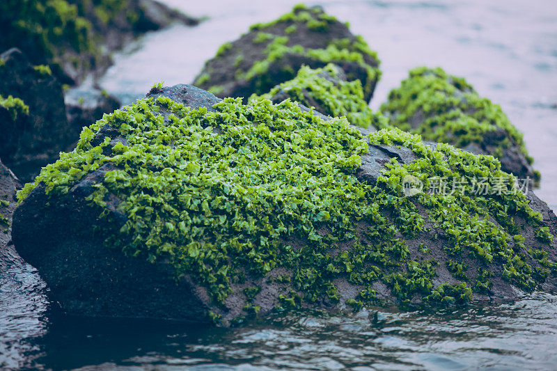 海礁