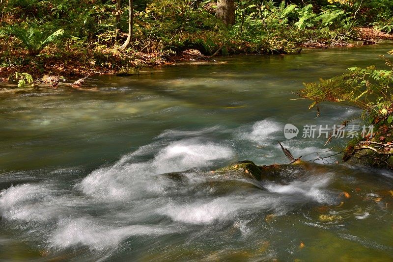 日本青森市秋天的磐濑山溪