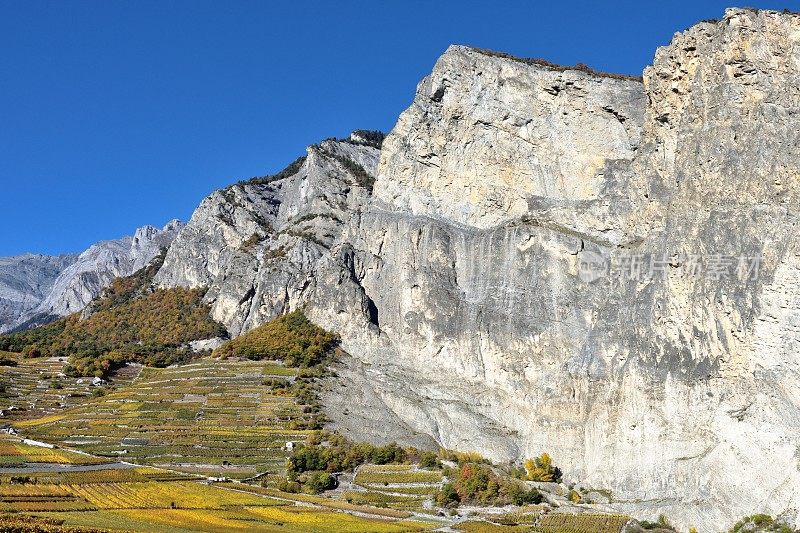 瑞士瓦莱山和著名的葡萄园