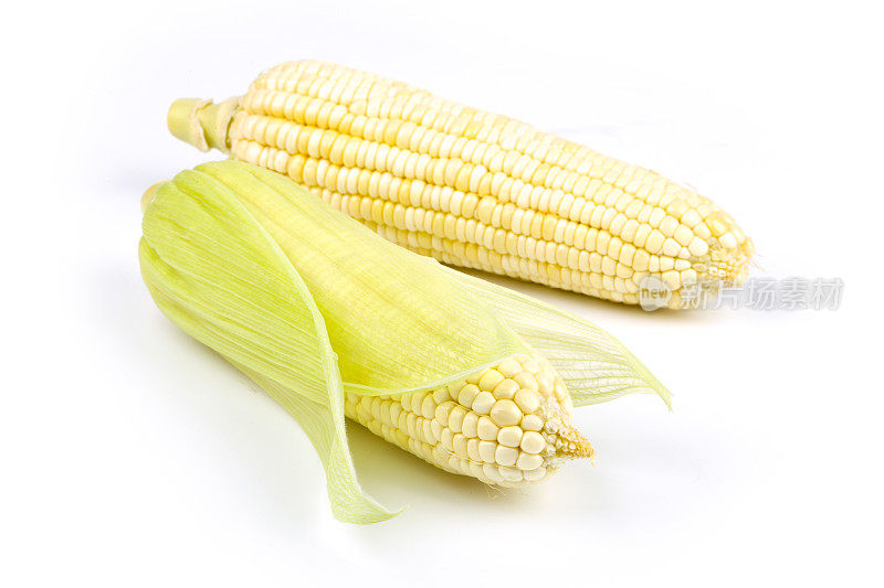 玉米孤立