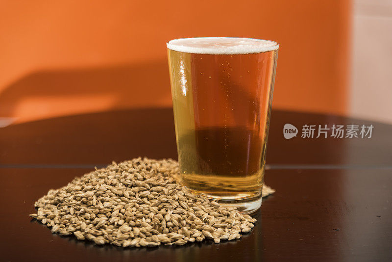 橙色背景的比尔森啤酒杯，少许大麦
