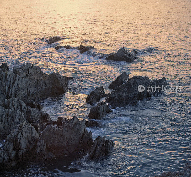 海滩海浪海岸