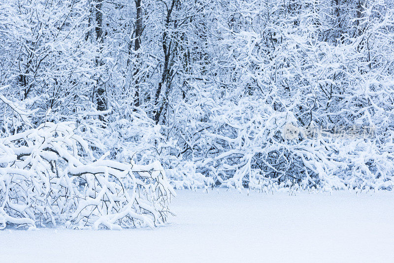 冰封的冬天，湖面上有冰雪