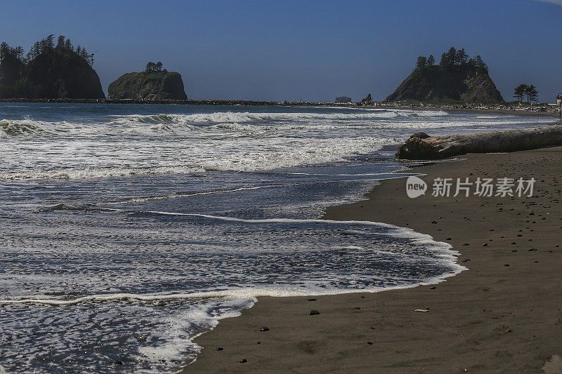 拉推海滩浮木原木，波浪，海滩，奥林匹克海岸，华盛顿