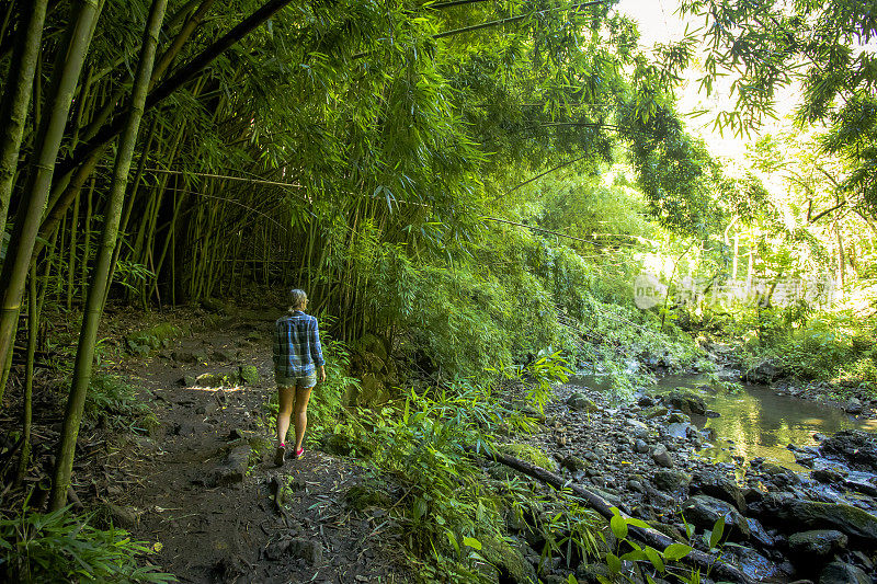 一名妇女在毛伊岛的竹林中行走。