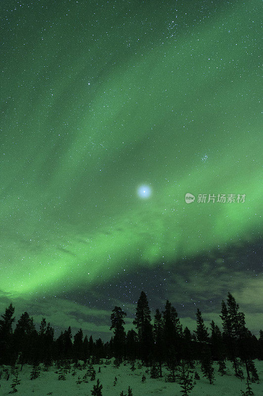 北极光，木星和昴宿星团在北方森林上空的夜空。